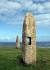 Menhir wood 1