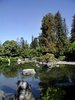 the garden