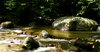 Rocky Stream
