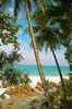Paradise