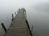 Fog