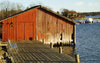 Dry fish heads on a boathouse