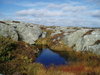 Small pond