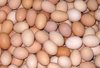 Fresh Country Eggs