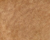 Smooth Tan Leather