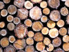 Wood texture