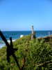sea 2