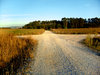 the way