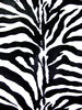 zebra skin