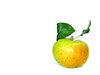 apple 1
