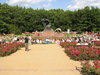 Park concert