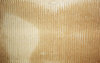 Cardboard Texture
