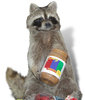 Raccoon on white background