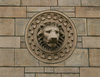 Lion head