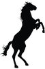 Standing Horse Too