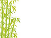 Bamboo Card