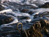 Rope Overboard