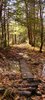 Ancient Pathway
