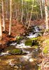 Cascade