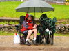 Alone in the rain