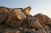 Coastal boulders