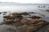 Shoreline 2