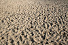 Footprints