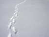 Footsteps