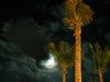 Beach - Nite 2