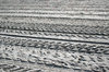 Tracks