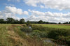 Field stream