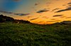 farm in the evening