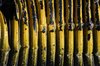 Flexible pipe texture
