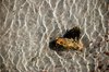 Rocks under the ocean 1