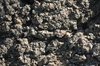 Ground texture 1
