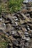 Ground texture 3