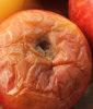 one bad apple