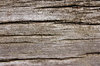 old wood ...