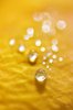 Dew drop