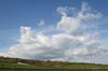 Rising cloud