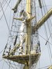 tall ships