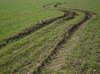 Track on fields