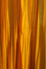 curtain time