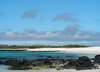 beautiful galapagos3