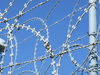 barbed and razor wire
