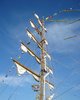 Mast