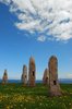 Menhir wood 3