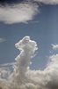 Cumulus congestus 2