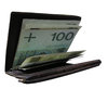 Wallet with cash