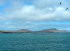 beautiful galapagos